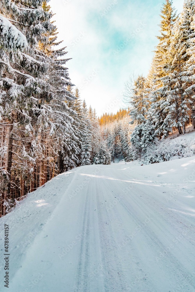 Obraz premium road in winter