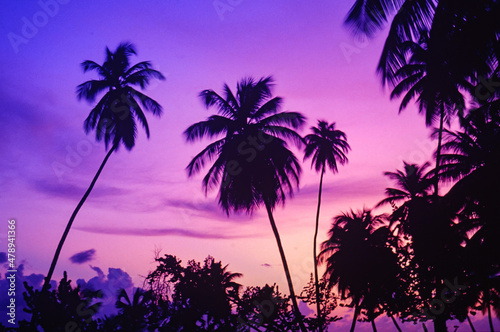 plam trees at sunset at pigeon point beach in tobago, west indies © Wolfgang