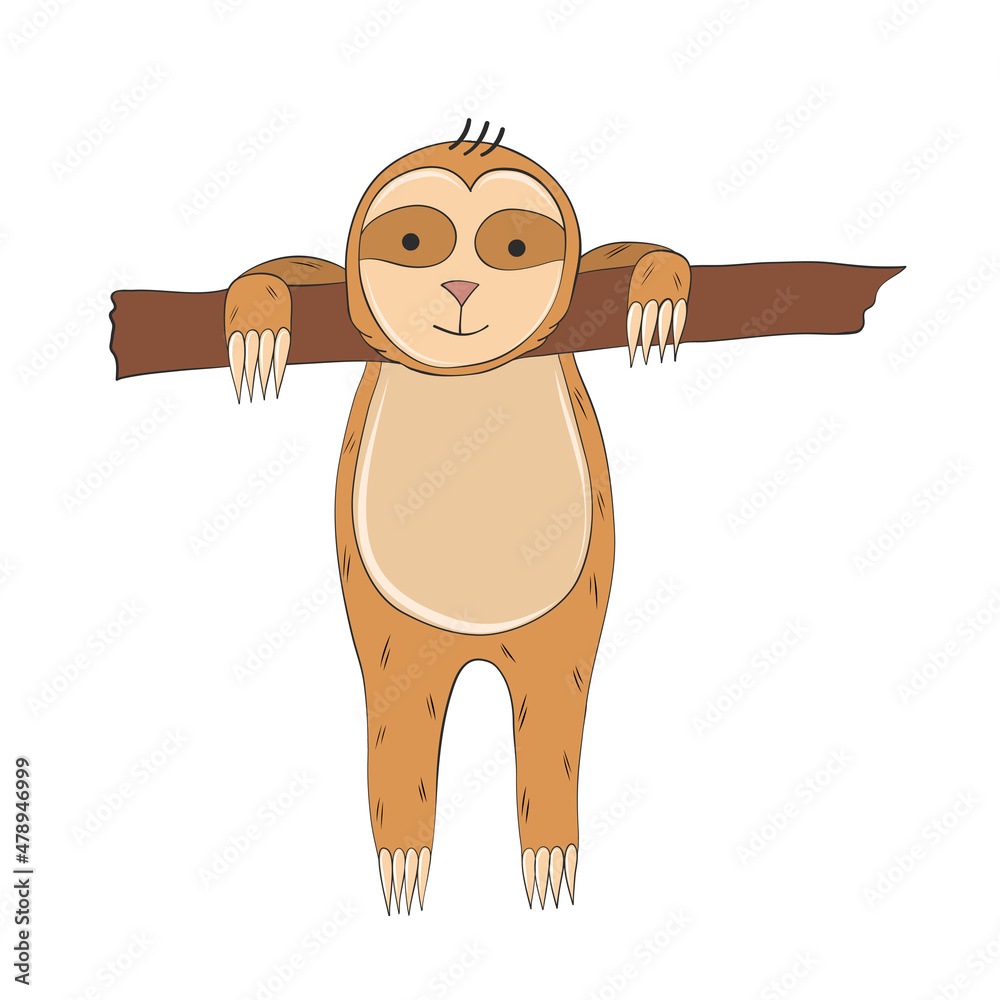 Fototapeta premium sloth lying on branch hand drawn