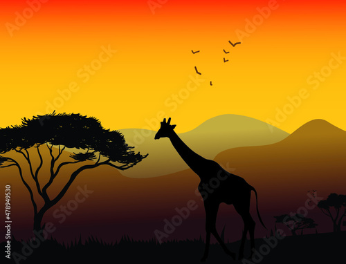 giraffe at sunset illustration