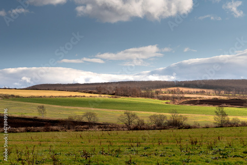 Wallpaper Mural パッチワーク Torontodigital.ca