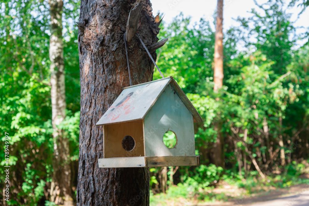Birdhouse, bird feeder on a tree in the forest.