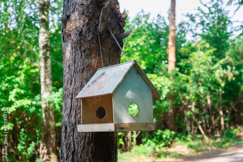 Birdhouse, bird feeder on a tree in the forest.