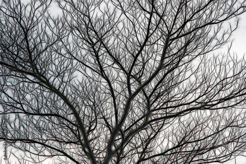 batik silk painting style applied to silhouetted tree structure in shades of dark grey on a plain white background