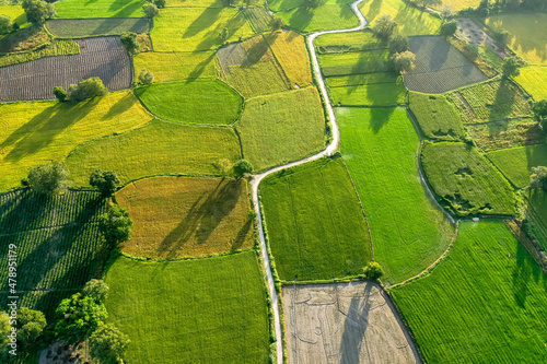 Aerial image of ripen rice fileds in Ta Pa, Bay Nui , An Giang - Vietnam