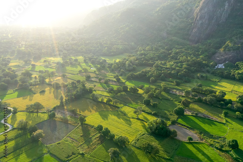 Aerial image of ripen rice fileds in Ta Pa, Bay Nui , An Giang - Vietnam photo