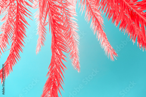 Infrared photography of Palm tree leaves photo