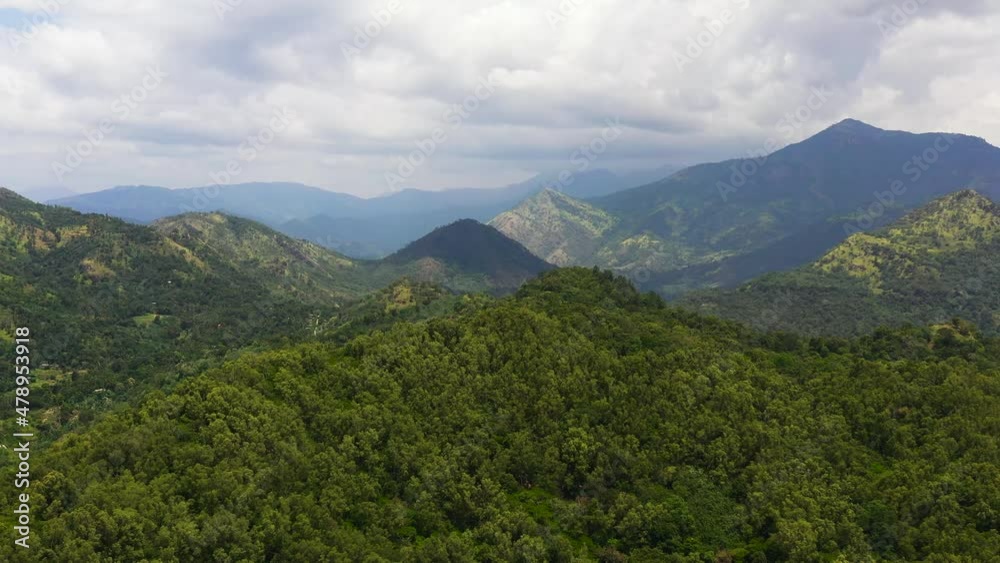 Green rainforest and jungle in the mountains of Sri Lanka view from above. Green rainforest and jungle in the mountains of Sri Lanka view from above.