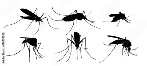 The Set silhouettes of mosquitoes.