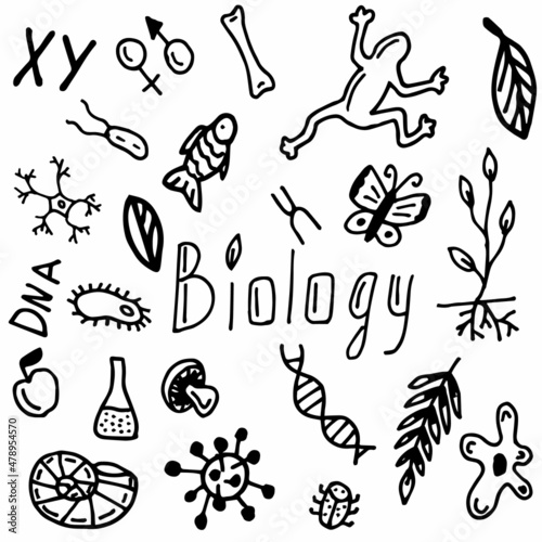 set of biology style doodle