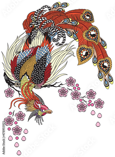 a magical phoenix sitting on a blossom sakura branch. Chinese mythological bird Feng Huang. One of celestial Feng shui creatures. Vector illustration  photo