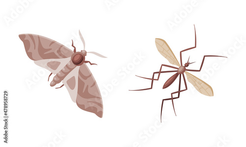 Pest Control and Parasite Extermination and Disinsection Service Vector Set