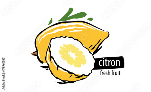 Drawn vector citron on a white background