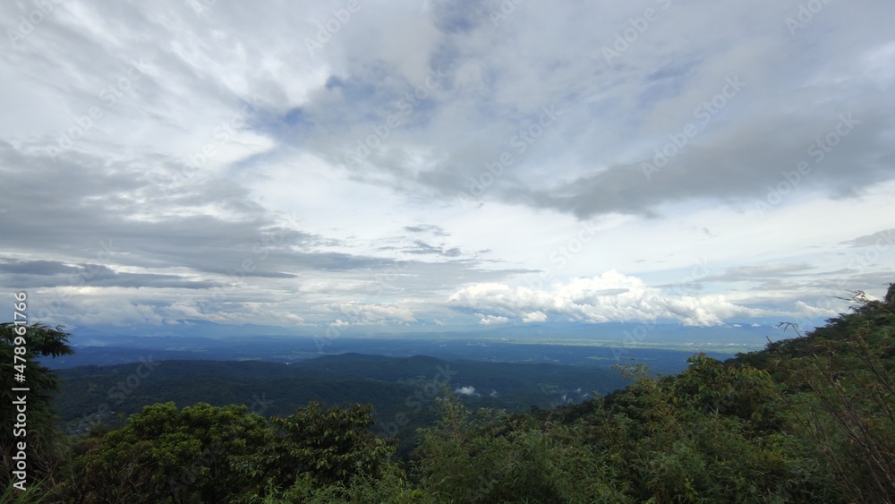 View of forest and cloudy sky.