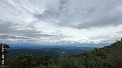 View of forest and cloudy sky.