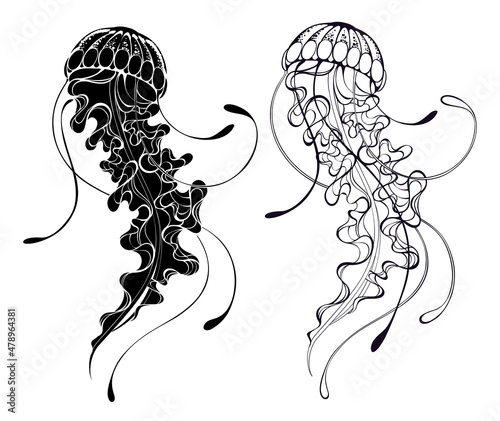 Contour jellyfish