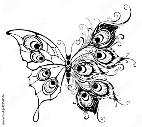 Butterfly with peacock feathers