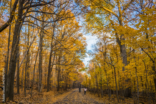 Hiking in the woods during fall in Mont Saint Bruno National Park, in Monteregie region of Quebec, Canada