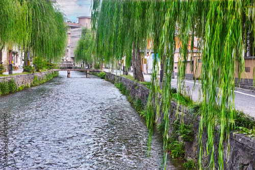 京都市東山区の白川に掛かる一本橋と柳並木の風景