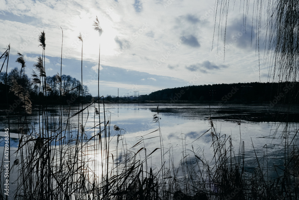 Bright sunny day, beautiful winter landscape on the lake in Ukraine.