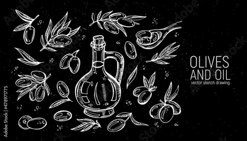 Set of hand drawing olives and olives oil. For labels, menus, design, posters and printing