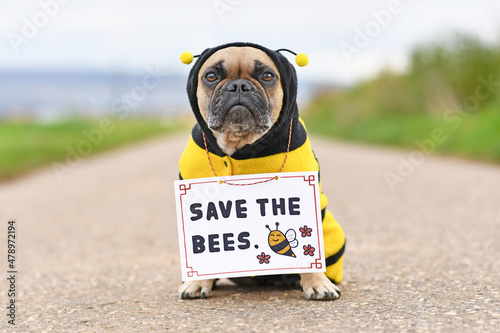 French Bulldog dog wearing bee costume with demonstration sign saying 'Save the bees' photo