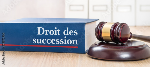 Law book with a gavel - Law of succession in french - Droit des succession