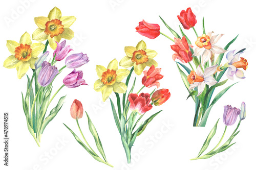 bouquet of tulips.watercolor flowers © OLGA