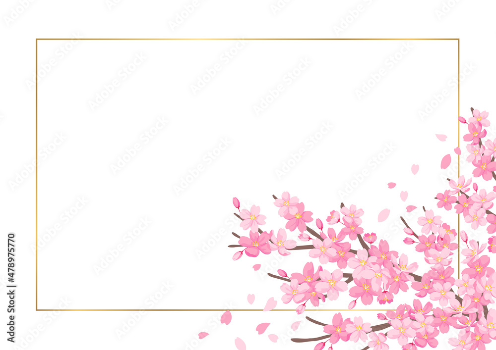 桜の花のイララスト　背景素材　カードデザイン　白背景にゴールドのフレーム