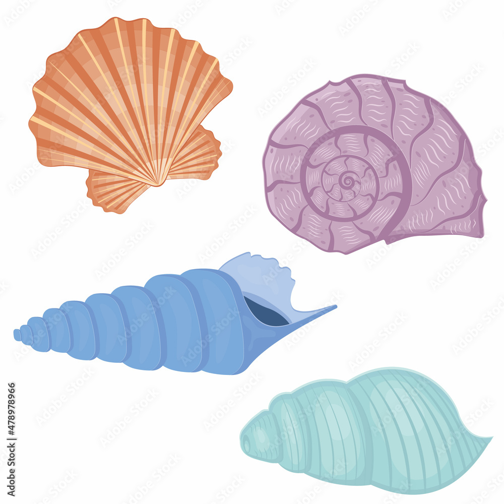 Fototapeta premium A set of colored seashells. Isolated vector illustration on a white background