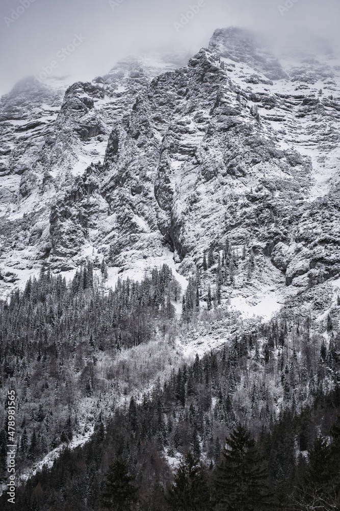 Fototapeta premium Winter wonderland landscape with fog, snow covered trees and mountains