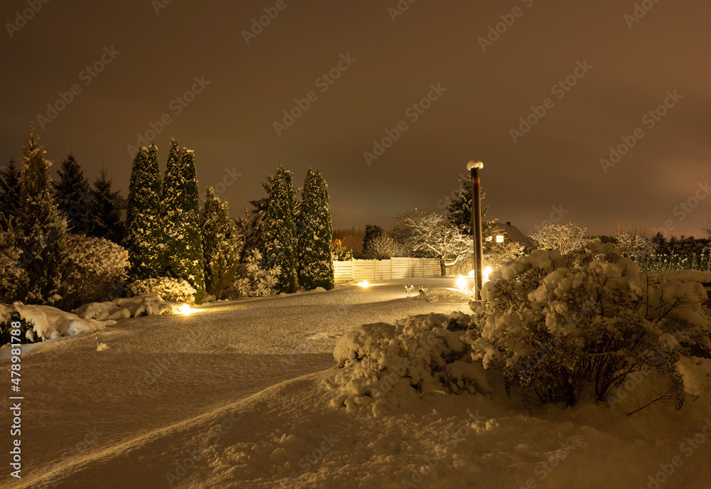 Fototapeta premium darkness in winter garden