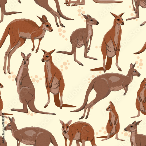 Seamless pattern with Australian big red kangaroo. Osphranter rufus females, males and baby kangaroos in different poses. Realistic vector print