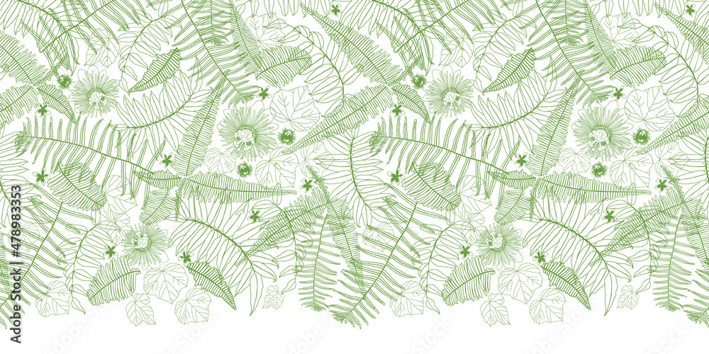 Vector white top horizontal border fern leaves pattern. Perfect for posters, greeting cards and other graphic design projects.