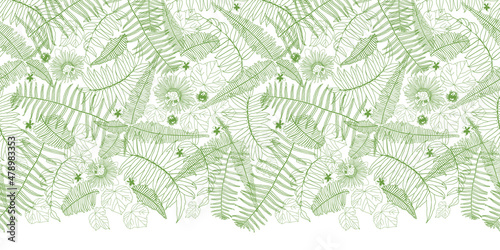 Vector white top horizontal border fern leaves pattern. Perfect for posters, greeting cards and other graphic design projects.