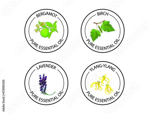 bergamot birch lavender essential oil icon vector 