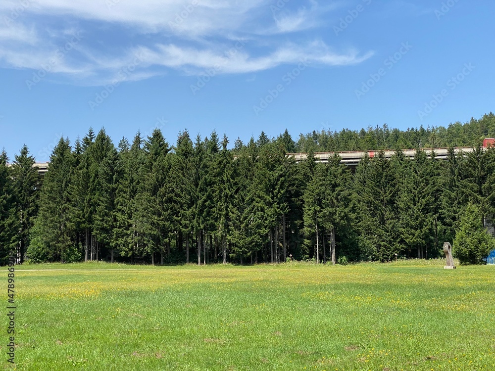 Obraz premium Golubinjak Forest Park in the mountainous region of Gorski kotar - Sleme, Croatia (Park šuma Golubinjak u planinskoj regiji Gorskog kotara - Sleme, Hrvatska)