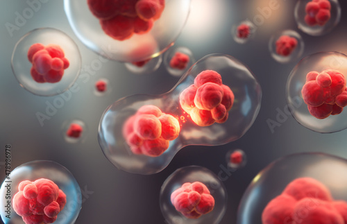 Photography 3d rendering of Human cell or Embryonic stem cell microscope background
