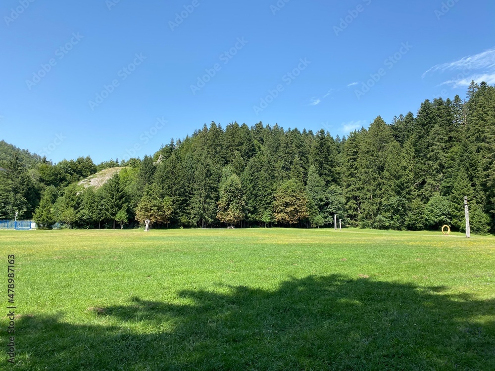 Golubinjak Forest Park in the mountainous region of Gorski kotar - Sleme, Croatia (Park šuma Golubinjak u planinskoj regiji Gorskog kotara - Sleme, Hrvatska)