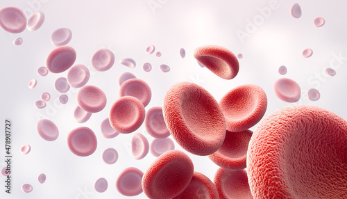 3d illustration of human red blood cells isolated on white background, concept for medical health care. photo