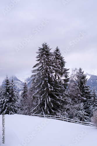 Natur   Winter