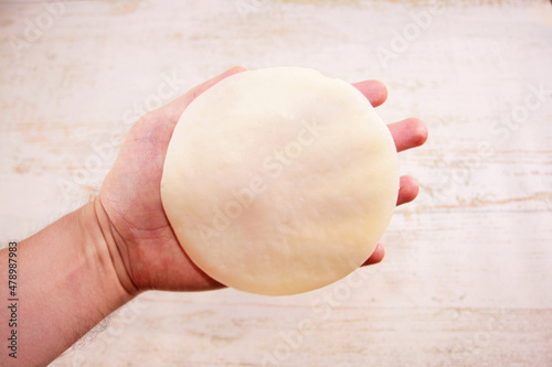 Hand holding kombucha SCOBY