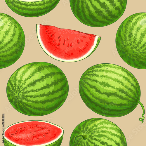 watermelon vector pattern on color background