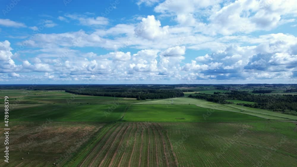 Slow drone flight over the green fields, forest in the distance. Blue sky and white fluffy clouds. Slow drone flight over the green fields, forest in the distance. Blue sky and white fluffy clouds.