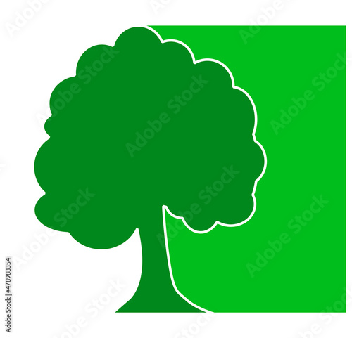 Green Oak Tree Shadow