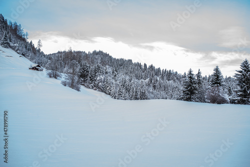 Winter / Landschaft © Petra Fischer