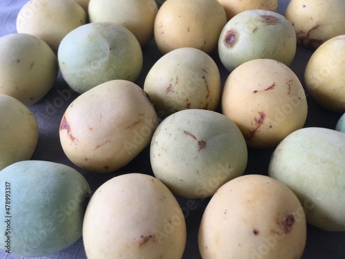 marula fruits that are harvested in Africa photo