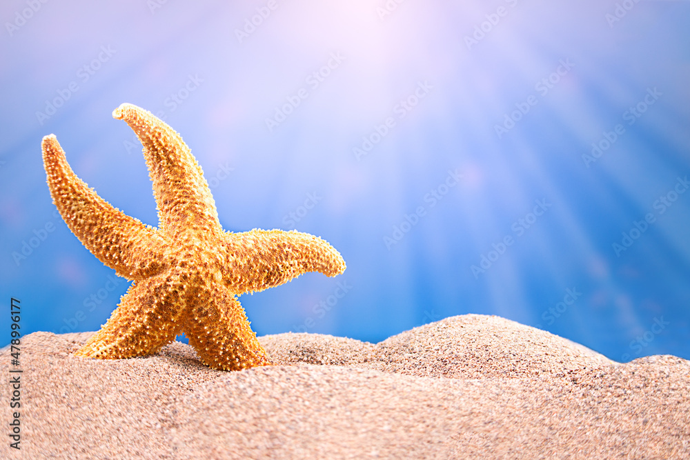 An orange starfish stands on sand, beach. Rays of sun are in sky. Recreation, tourism. Copy space