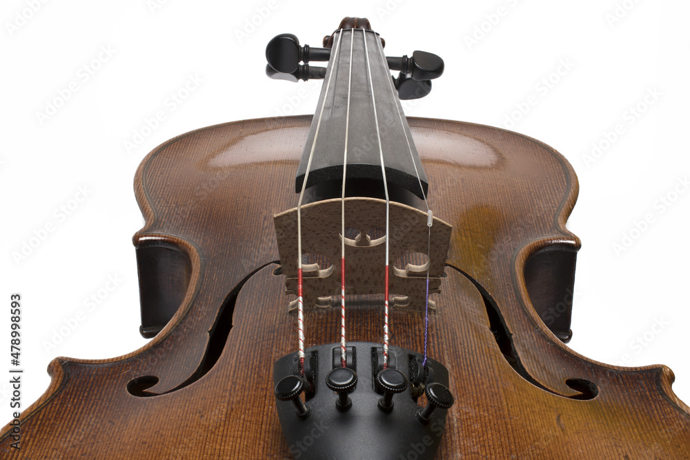 closeup old violin body strings white background closeup old violin body strings white background