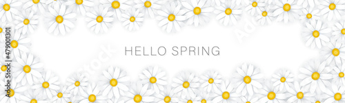 Stampa su tela Hello Spring banner or newsletter header
